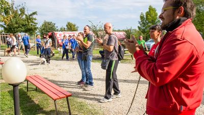 sheepdog isontino 2013-322.jpg