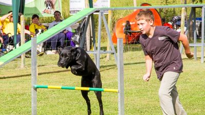 sheepdog isontino 2013-316.jpg