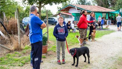 sheepdog isontino 2013-50.jpg