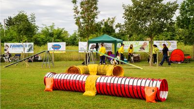 sheepdog isontino 2013-34.jpg