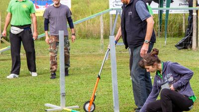 sheepdog isontino 2013-38.jpg