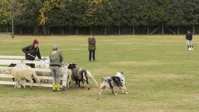 151122_torneo regionale staffetta_140.jpg