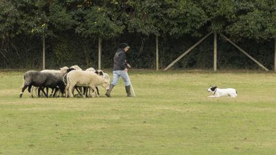 151122_torneo regionale staffetta_119.jpg