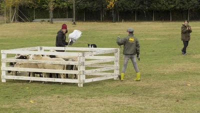 151122_torneo regionale staffetta_145.jpg