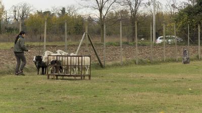 151122_torneo regionale staffetta_064.jpg