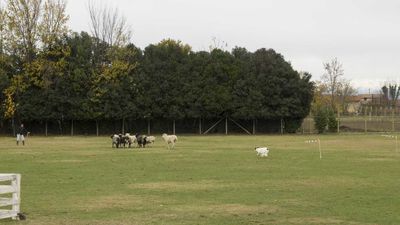 151122_torneo regionale staffetta_111.jpg