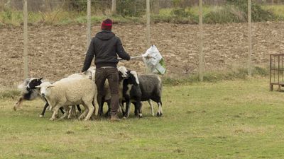 151122_torneo regionale staffetta_132.jpg