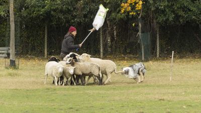 151122_torneo regionale staffetta_125.jpg