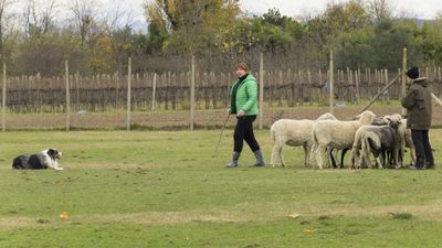 151122_torneo regionale staffetta_015.jpg