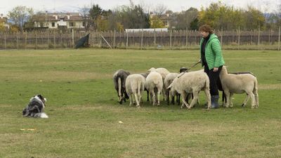 151122_torneo regionale staffetta_028.jpg