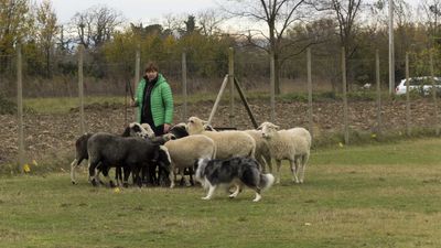 151122_torneo regionale staffetta_007.jpg