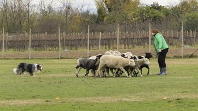 151122_torneo regionale staffetta_014.jpg