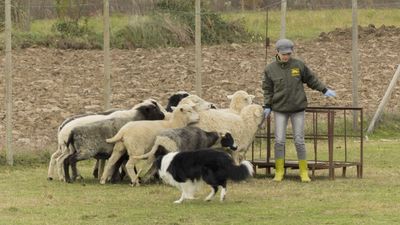 151122_torneo regionale staffetta_090.jpg