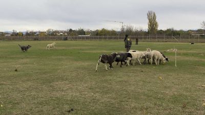 151122_torneo regionale staffetta_068.jpg