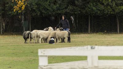 151122_torneo regionale staffetta_021.jpg