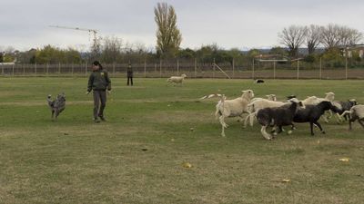 151122_torneo regionale staffetta_069.jpg