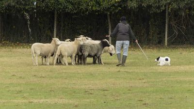 151122_torneo regionale staffetta_116.jpg