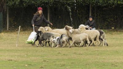 151122_torneo regionale staffetta_123.jpg