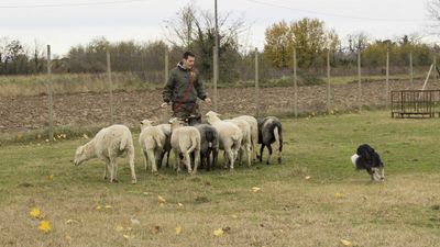 151122_torneo regionale staffetta_041.jpg