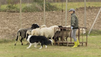 151122_torneo regionale staffetta_097.jpg