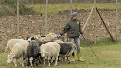 151122_torneo regionale staffetta_095.jpg