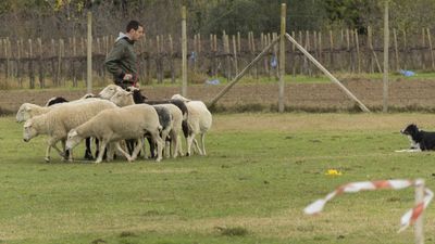 151122_torneo regionale staffetta_048.jpg