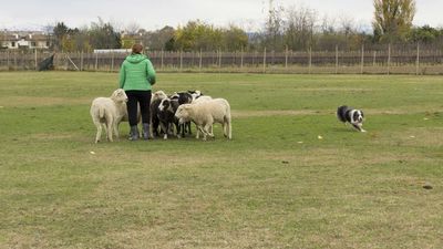 151122_torneo regionale staffetta_027.jpg