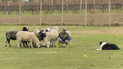 151122_torneo regionale staffetta_107.jpg