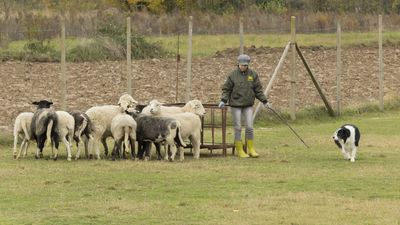 151122_torneo regionale staffetta_096.jpg