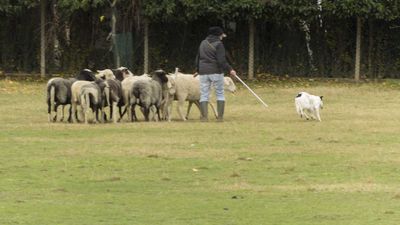 151122_torneo regionale staffetta_114.jpg