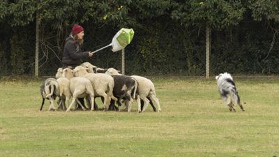 151122_torneo regionale staffetta_122.jpg