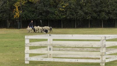 151122_torneo regionale staffetta_019.jpg