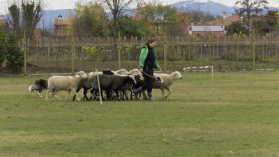 151122_torneo regionale staffetta_012.jpg