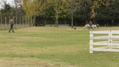 151122_torneo regionale staffetta_060.jpg