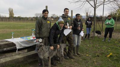 151122_torneo regionale staffetta_149.jpg