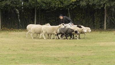 151122_torneo regionale staffetta_121.jpg