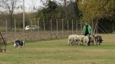 151122_torneo regionale staffetta_011.jpg