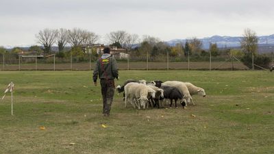 151122_torneo regionale staffetta_039.jpg