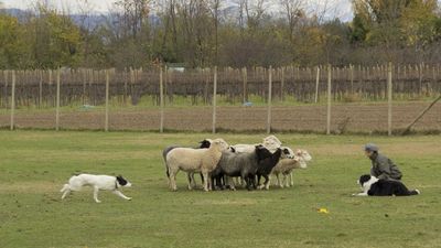 151122_torneo regionale staffetta_109.jpg