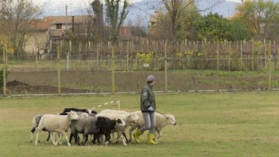 151122_torneo regionale staffetta_101.jpg