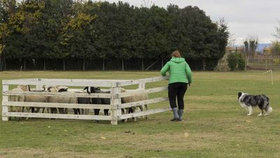 151122_torneo regionale staffetta_031.jpg