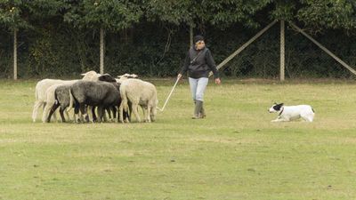 151122_torneo regionale staffetta_120.jpg