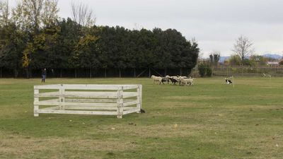 151122_torneo regionale staffetta_017.jpg