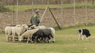 151122_torneo regionale staffetta_093.jpg