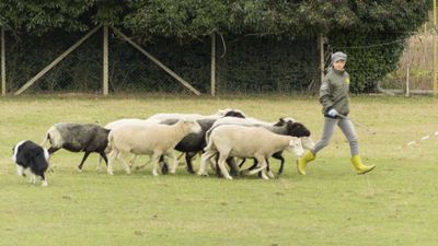 151122_torneo regionale staffetta_100.jpg