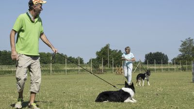 160710_torneo-sheepdog-staffetta_043.jpg