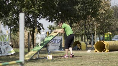 160911_garasocialeagility_230.jpg