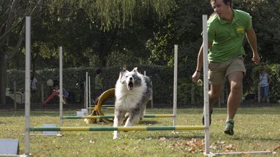 160911_garasocialeagility_021.jpg