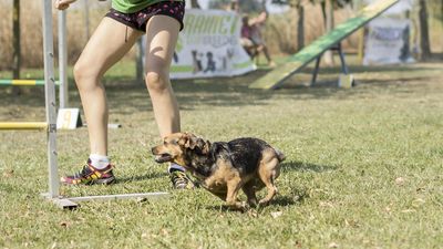 160911_garasocialeagility_269.jpg