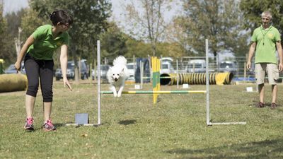 160911_garasocialeagility_228.jpg